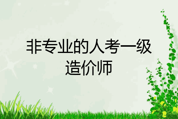 非专业的人考一级造价师