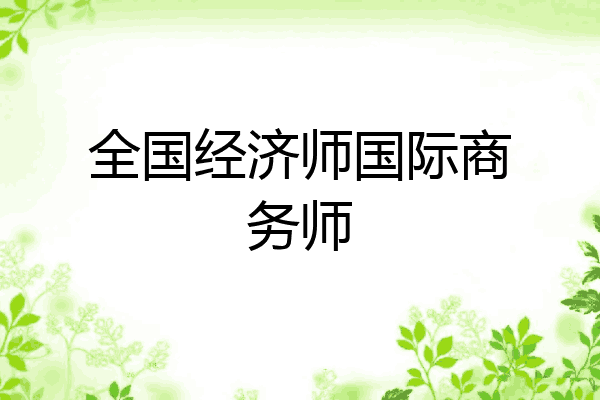 全国经济师国际商务师