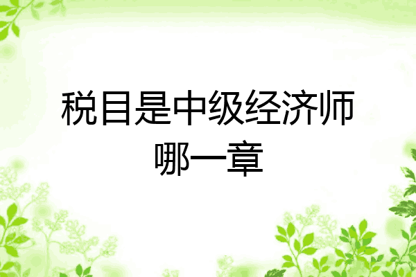 税目是中级经济师哪一章