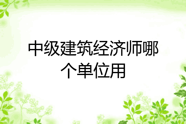中级建筑经济师哪个单位用