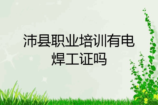 沛县职业培训有电焊工证吗