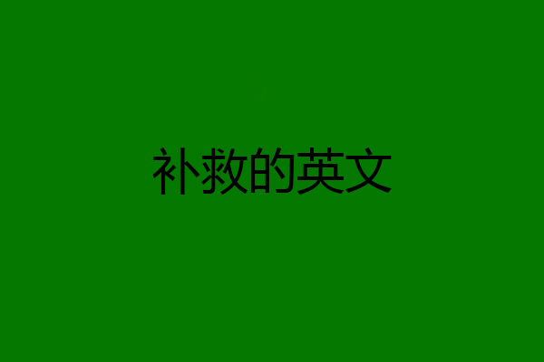 补救的英文