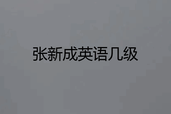 张新成英语几级