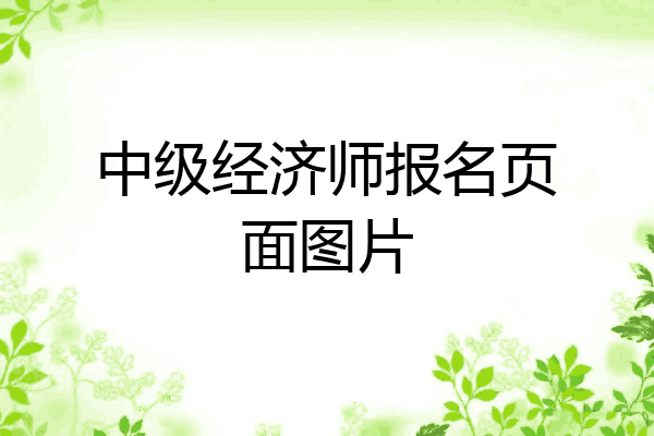 中级经济师报名页面图片