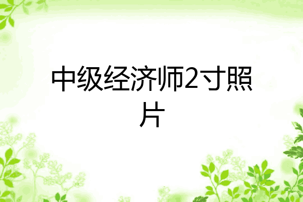 中级经济师2寸照片