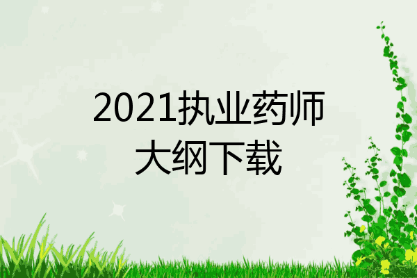 2021执业药师大纲下载