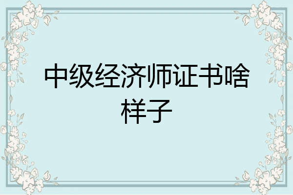 中级经济师证书啥样子