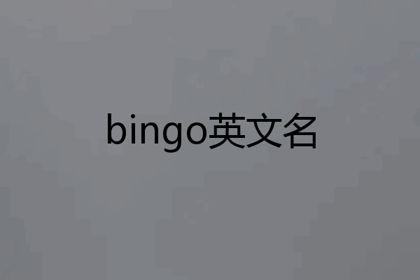 bingo英文名