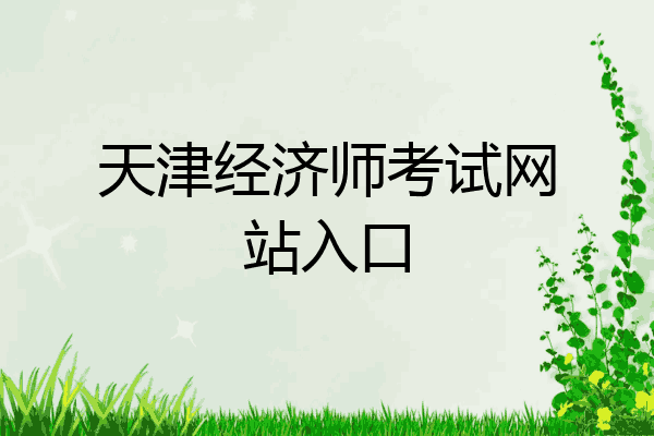 天津经济师考试网站入口