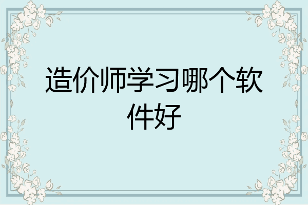 造价师学习哪个软件好
