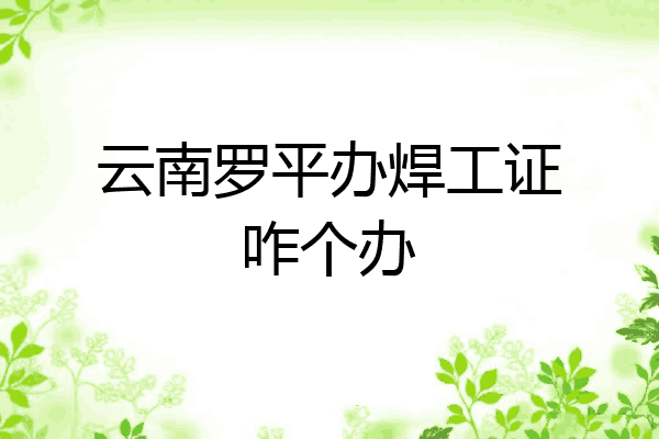 云南罗平办焊工证咋个办