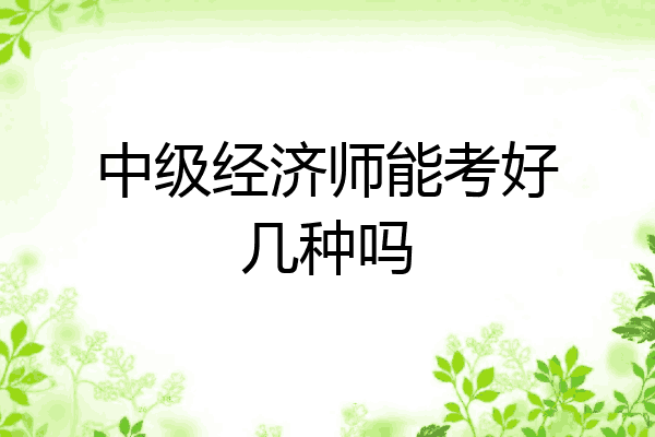 中级经济师能考好几种吗