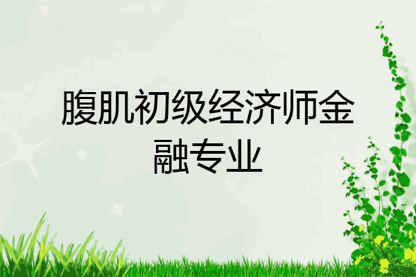 腹肌初级经济师金融专业