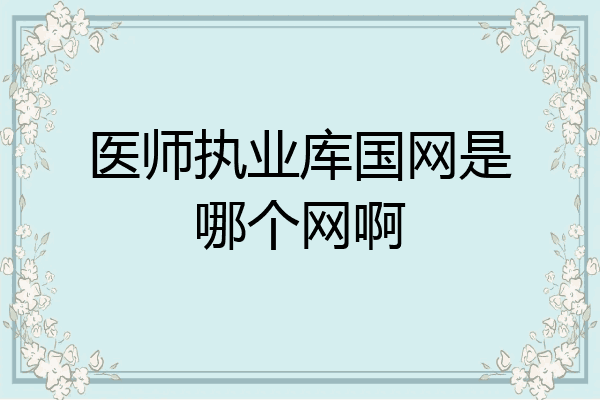 医师执业库国网是哪个网啊