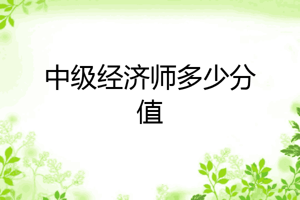 中级经济师多少分值