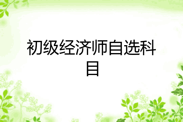 初级经济师自选科目