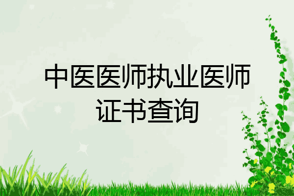 中医医师执业医师证书查询