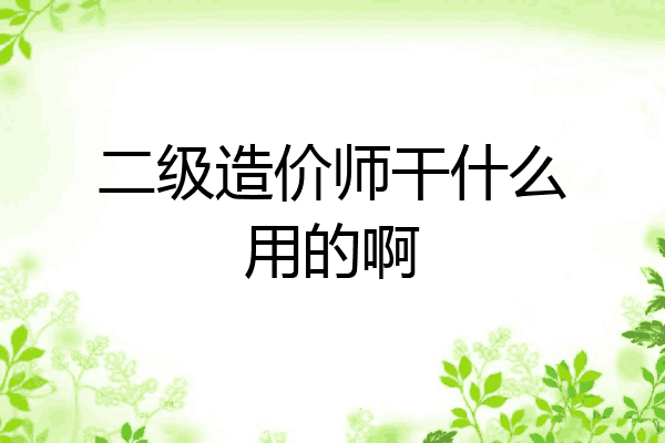 二级造价师干什么用的啊