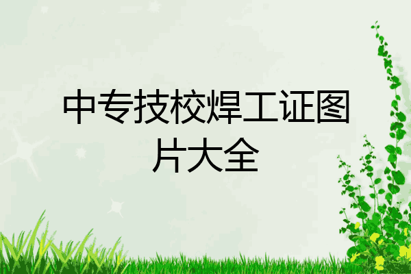 中专技校焊工证图片大全