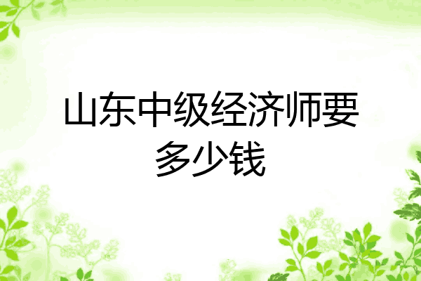 山东中级经济师要多少钱