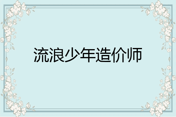 流浪少年造价师