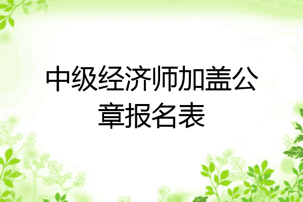 中级经济师加盖公章报名表