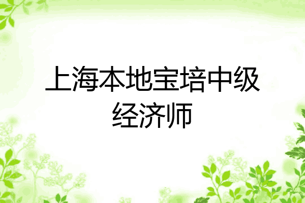 上海本地宝培中级经济师