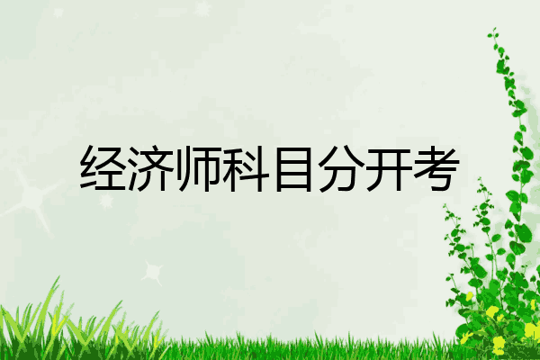 经济师科目分开考