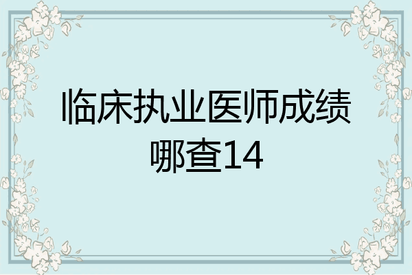 临床执业医师成绩哪查14