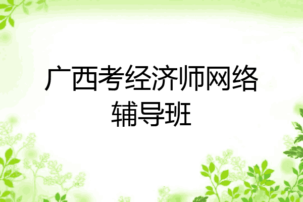 广西考经济师网络辅导班