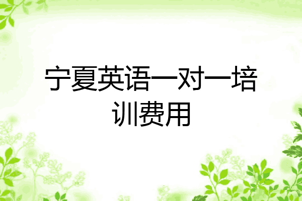 宁夏英语一对一培训费用