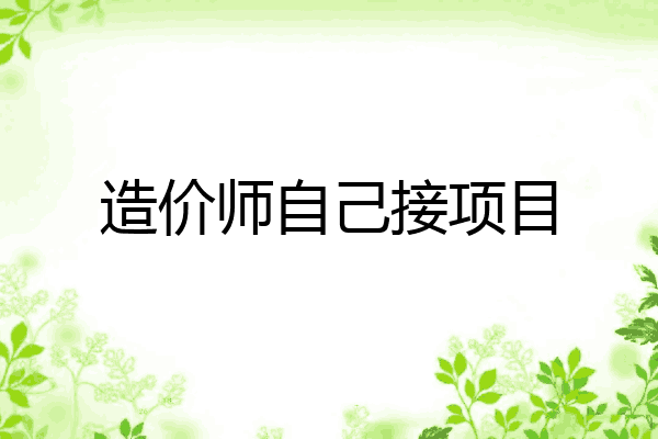 造价师自己接项目