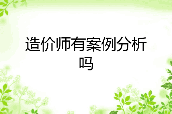 造价师有案例分析吗