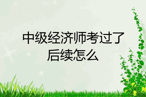 中级经济师考过了后续怎么