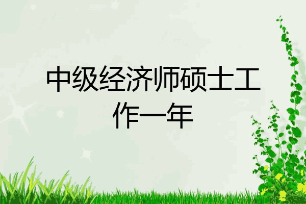 中级经济师硕士工作一年