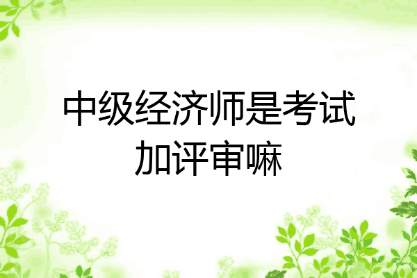 中级经济师是考试加评审嘛