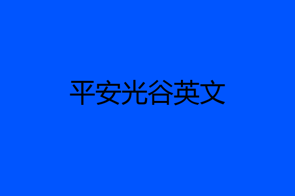 平安光谷英文