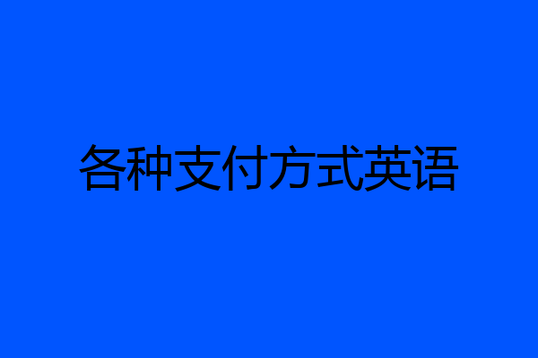 各种支付方式英语