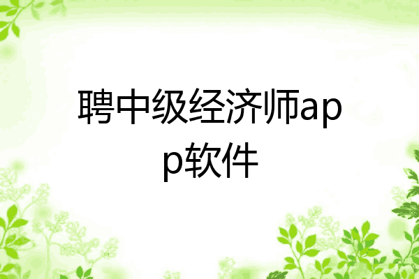聘中级经济师app软件