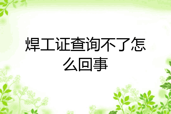 焊工证查询不了怎么回事