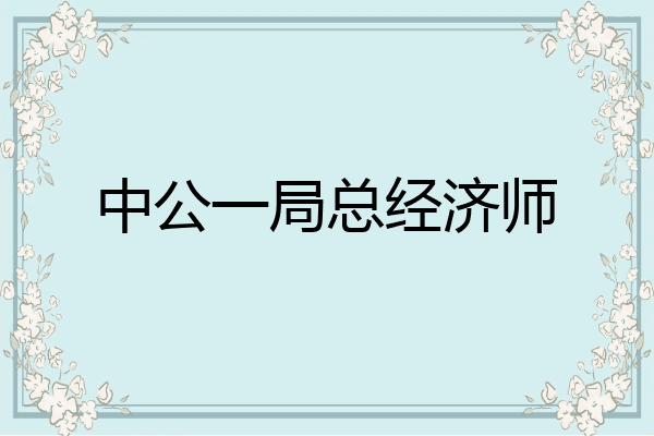 中公一局总经济师