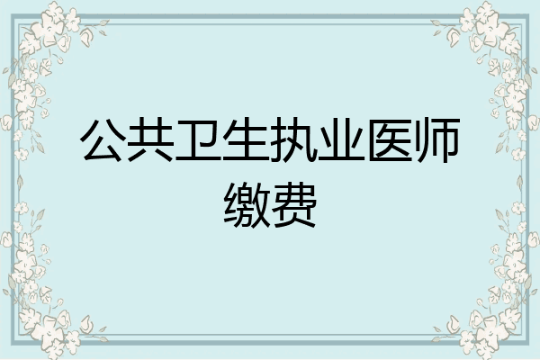 公共卫生执业医师缴费
