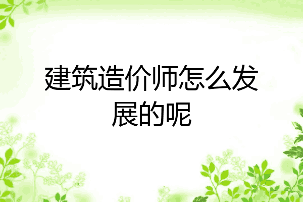 建筑造价师怎么发展的呢