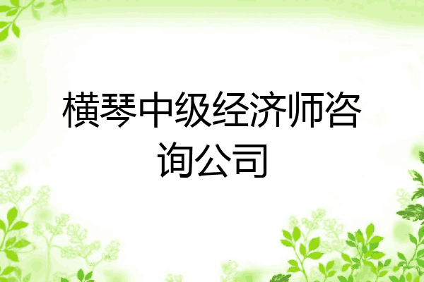 横琴中级经济师咨询公司