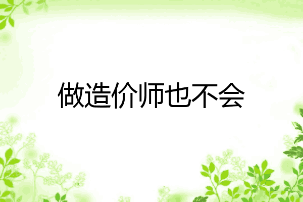 做造价师也不会