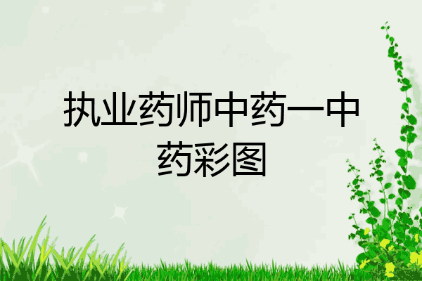 执业药师中药一中药彩图