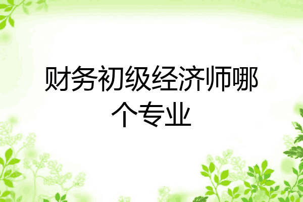财务初级经济师哪个专业