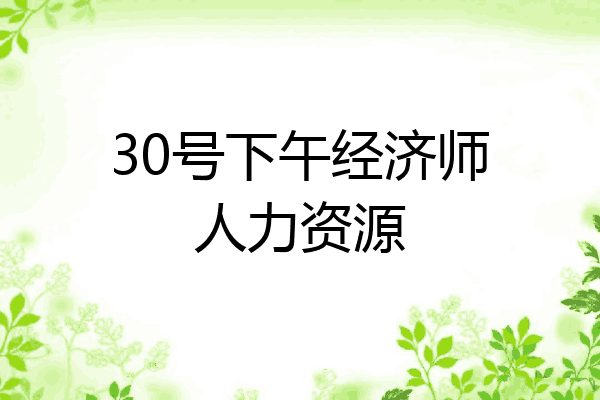 30号下午经济师人力资源