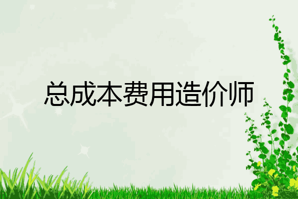 总成本费用造价师