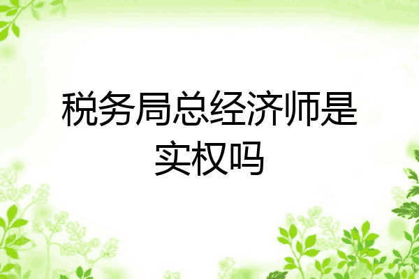 税务局总经济师是实权吗